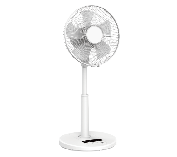 FL-12134DRR 洋和扇 3